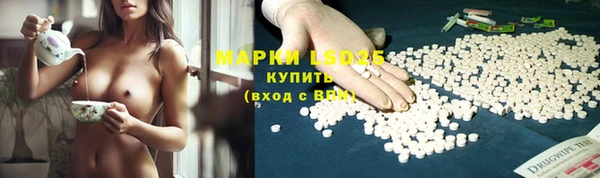 ПСИЛОЦИБИНОВЫЕ ГРИБЫ Зеленокумск