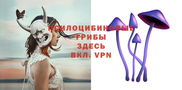 ПСИЛОЦИБИНОВЫЕ ГРИБЫ Зеленокумск