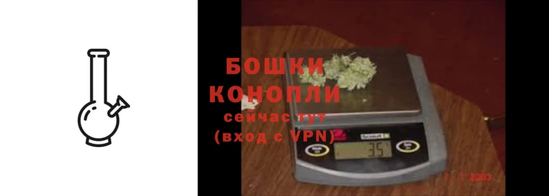 стаф Туринск